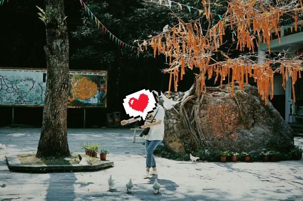 锁定十佳球！赵继伟极限救球 直接妙传付豪完成暴扣