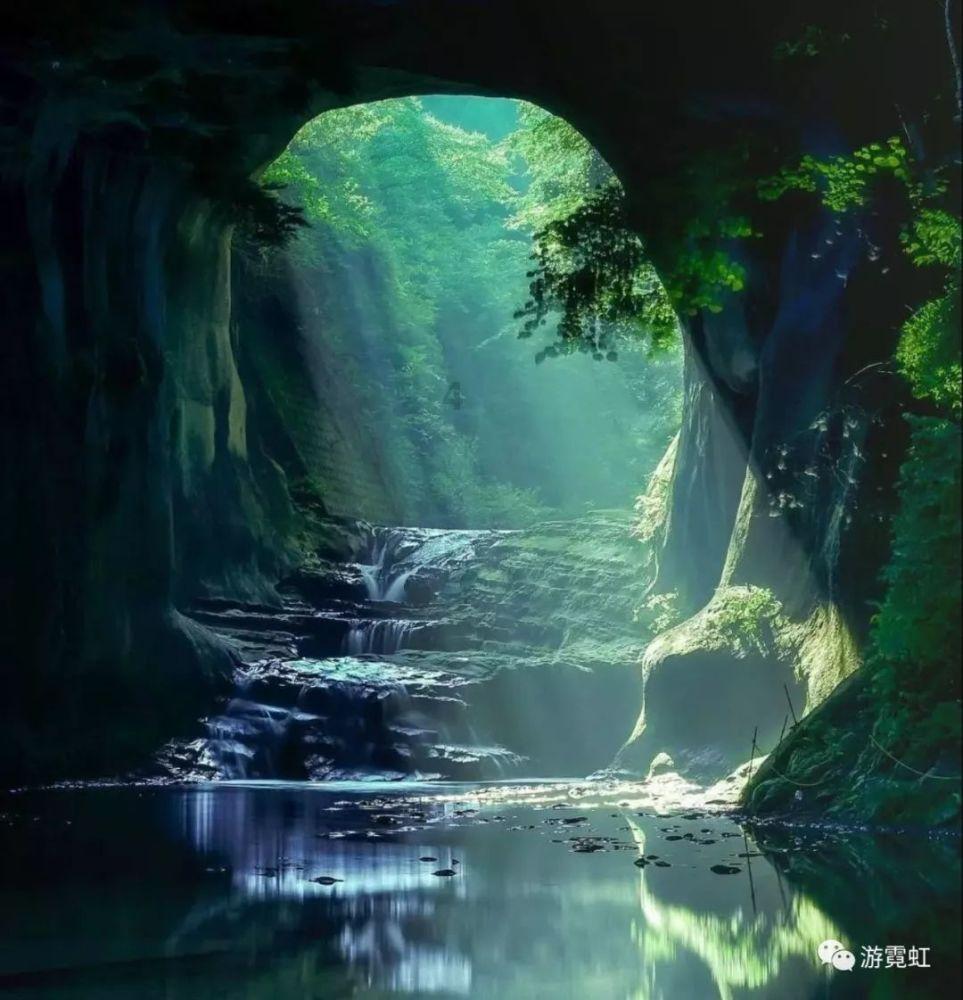 雏菊花园逃生