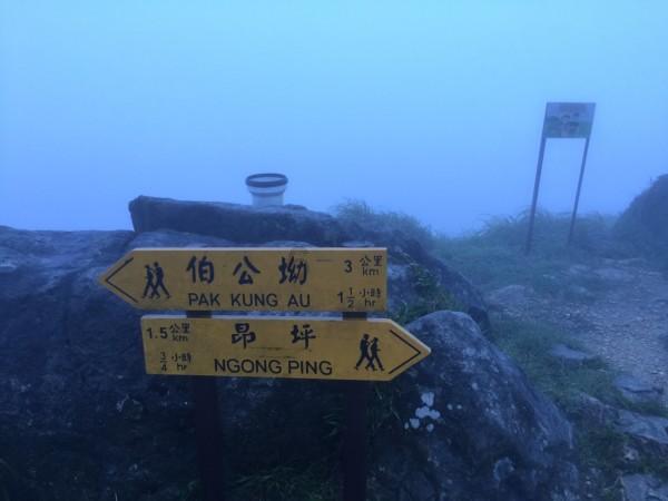 单词派对