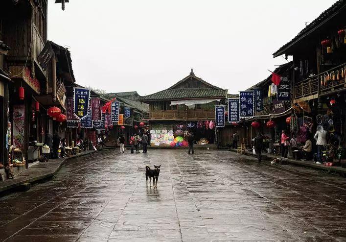 史小坑的爆笑生活10